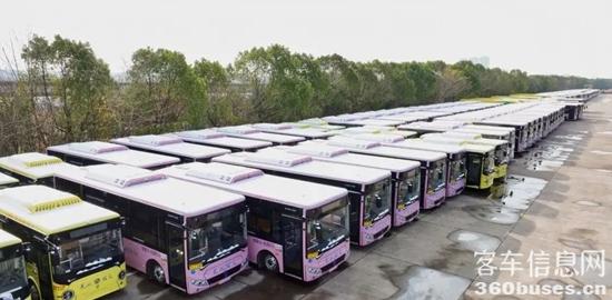 1703642068945563.jpg 4.jpg