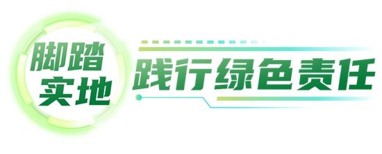 1703815866377334.jpg 1.jpg