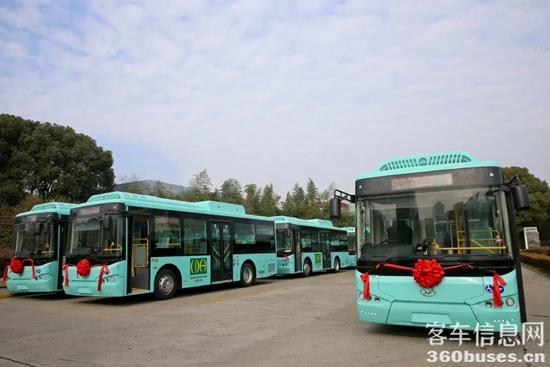 1704555458332381.jpg 2.jpg