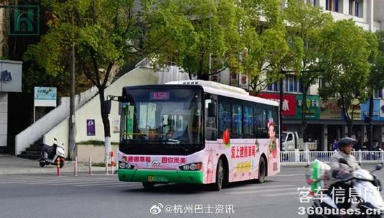 1704680813508106.jpg 3.jpg