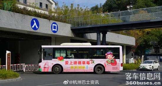 1704680821353391.jpg 4.jpg