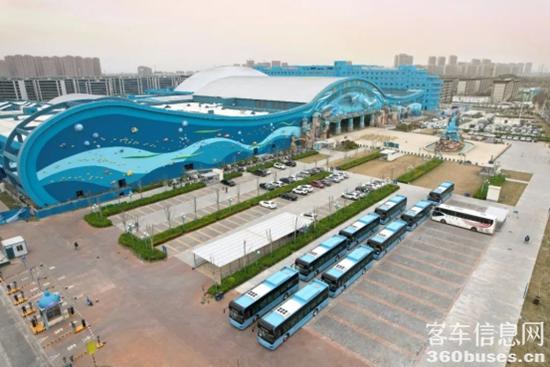 1704767134811752.jpg 6.jpg