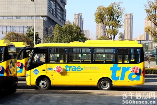 1705462220489526.jpg 06.jpg