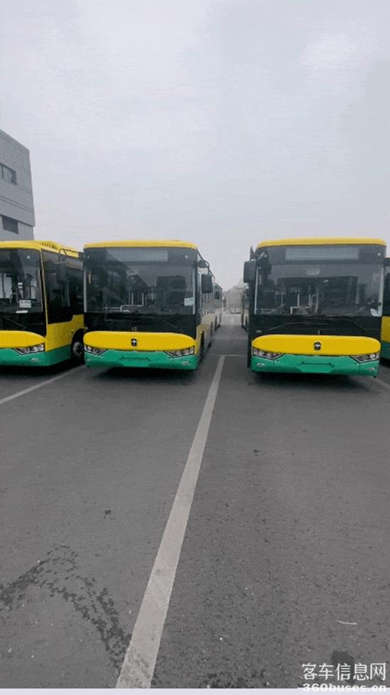 1706754040855619.jpg 7.jpg