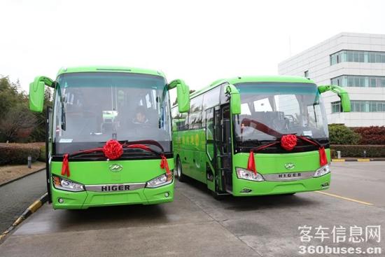 1709101551380725.jpg 4.jpg