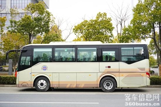 1709166462260089.jpg 4.jpg