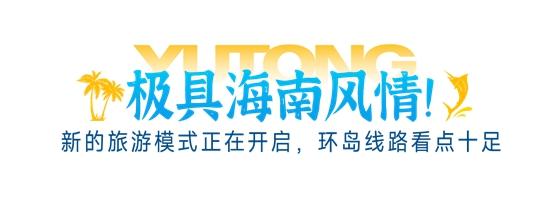 1709256924708233.jpg 2.jpg