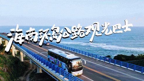 1709256929205834.gif 3.gif