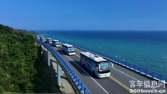 1709257003455290.jpg 15.jpg