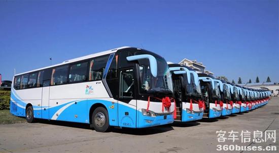 1711334074870119.jpg 2.jpg