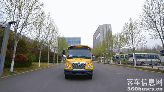 1713495044979611.jpg 10.jpg