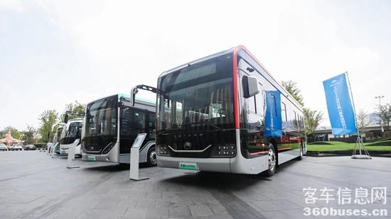 1714274561200395.jpg 10.jpg