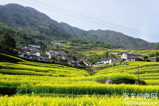 1714456604660576.jpg 1.jpg