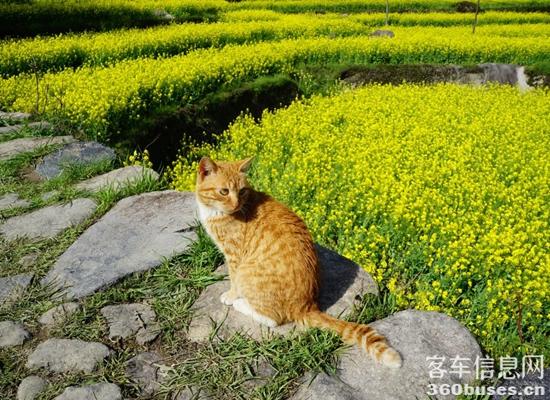 1714456610804593.jpg 2.jpg