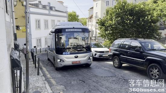 1715220119574919.jpg 7.jpg