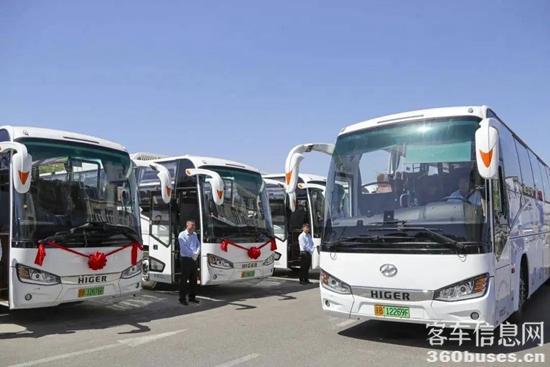 1715736637546291.jpg 3.jpg