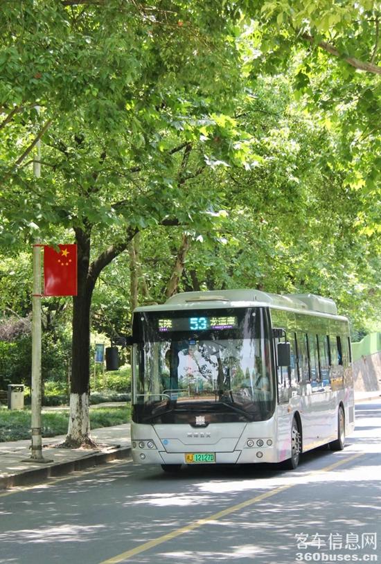 1715915106169503.jpg 7.jpg