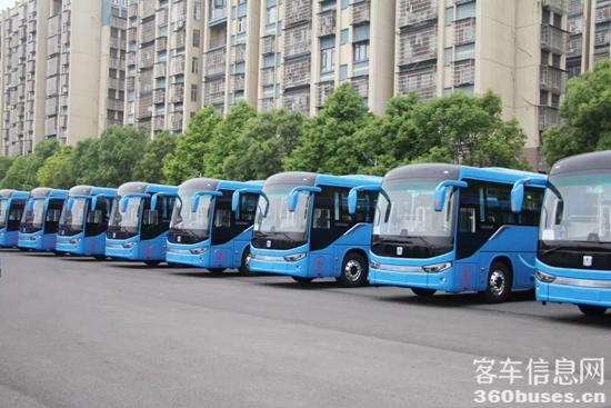 1716432842572162.jpg 15.jpg