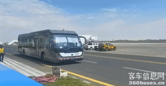 1716524751409336.jpg 7.jpg