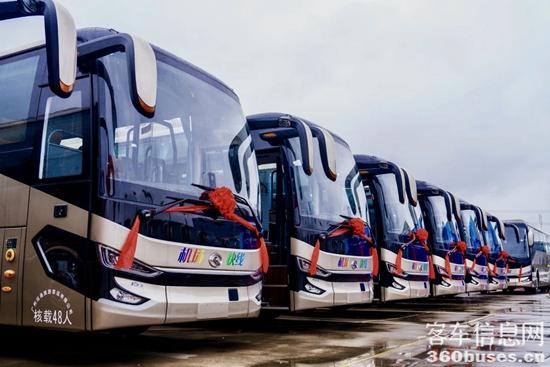 1716773614559003.jpg 2.jpg