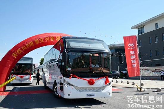 1717397670366162.jpg 1.jpg