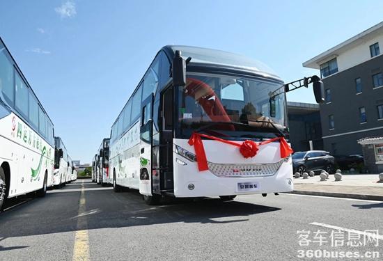 1717397726324919.jpg 5.jpg