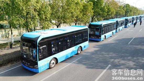 1717725004145562.jpg 8.jpg