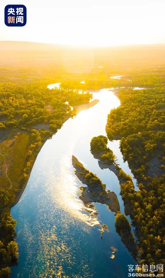 1717739600591365.jpg 1.jpg