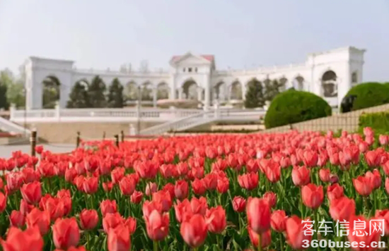 1721186318389333.png 3.png