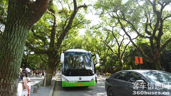 1722241053172896.jpg 3.jpg