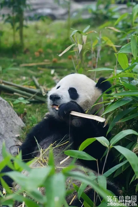 1722914112903876.png 7.webp.png