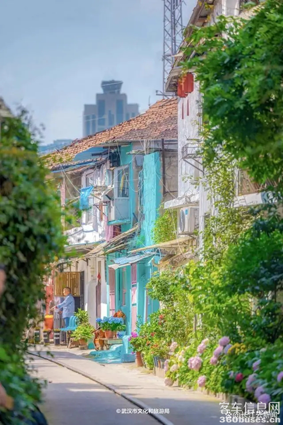 1722914224695494.png 11.webp.png