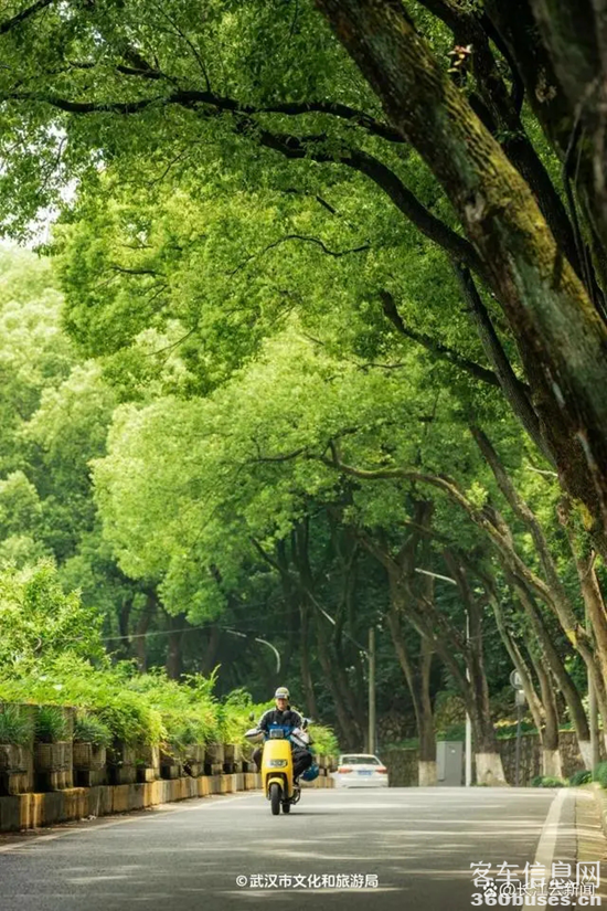 1722914277926382.png 14.webp.png