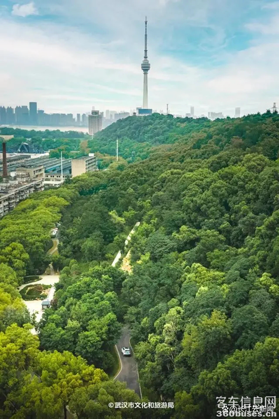 1722914299126405.png 15.webp.png