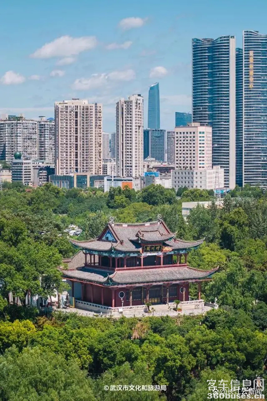 1722914366744927.png 18.webp.png