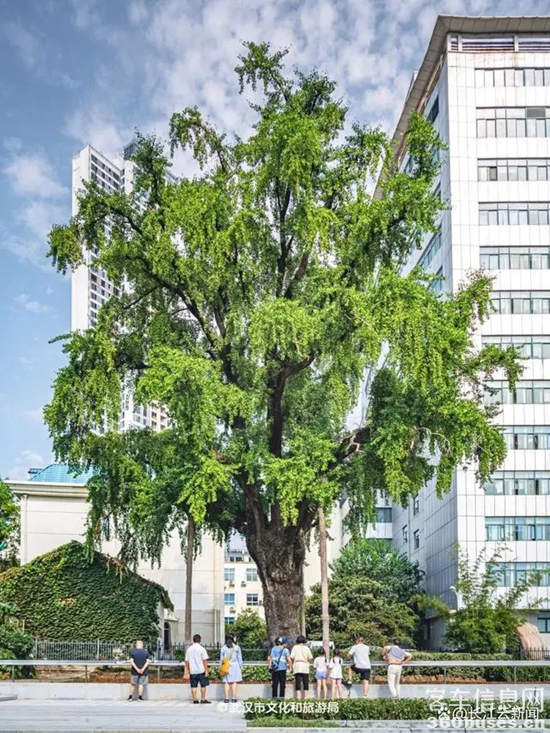 1722914474344669.png 23.webp.png