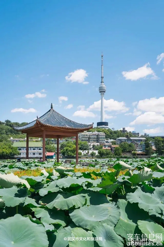 1722914537585821.png 26.webp.png