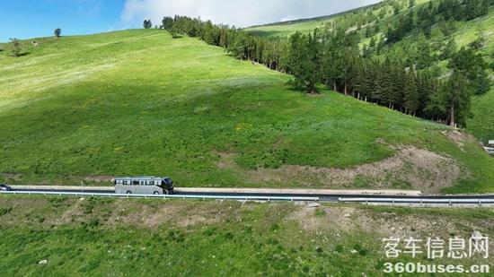 1724042294402666.jpg 4.jpg