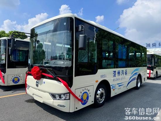 1724136167509241.jpg 3.jpg