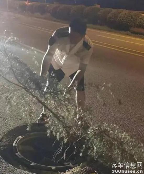 1724136757138812.jpg 1.webp.jpg