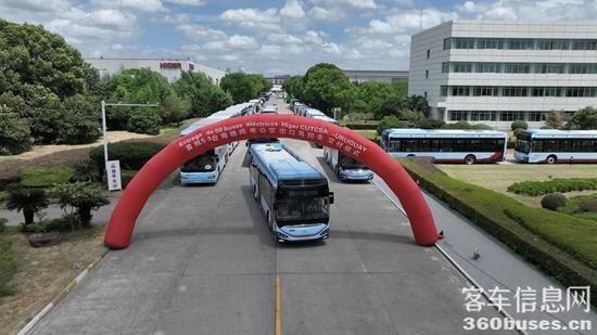 1724308195572958.jpg 11.jpg