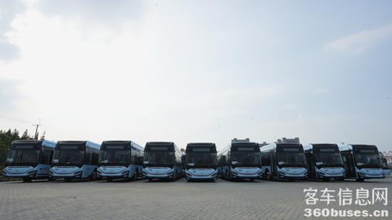 1724308213693542.jpg 15.jpg