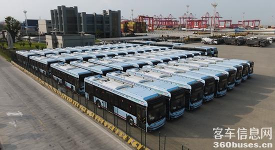 1724308218791697.jpg 16_副本.jpg