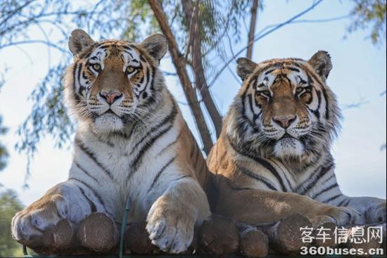 1727057725939123.jpg 1.jpg