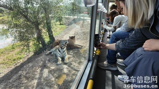 1727057849853561.jpg 9.jpg