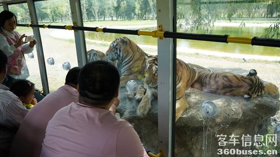 1727057856298191.jpg 10.JPG