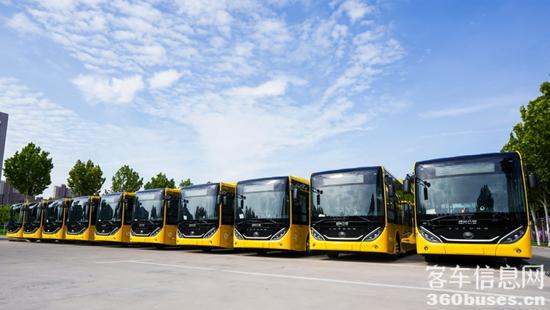 1727743039377059.jpg 9.jpg