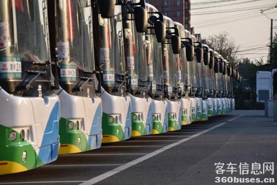 1728634992146590.jpg 5.jpg