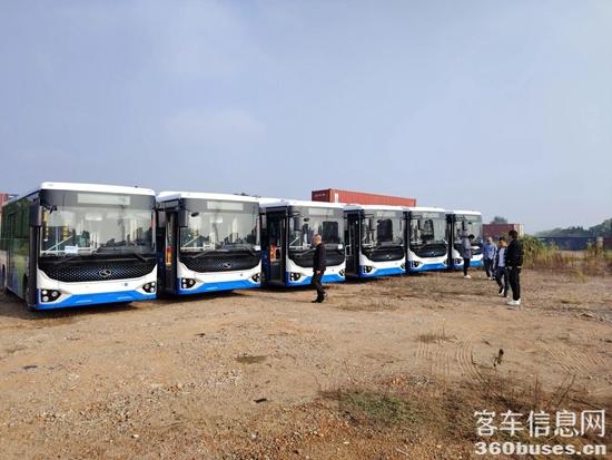 1728636778882166.jpg 8.jpg