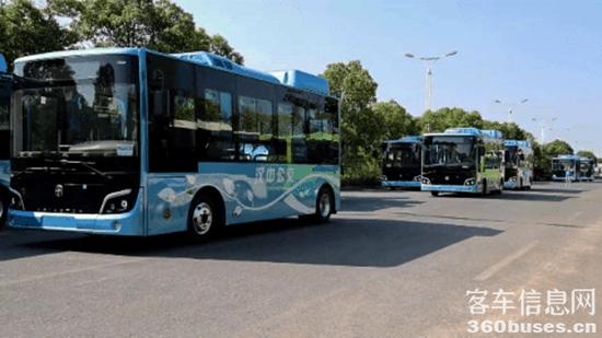 1728702551125358.jpg 1.jpg